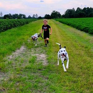 Meet your Posher, William